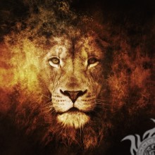 Fire lion no download do avatar