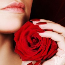 Hermosa rosa en descarga de avatar
