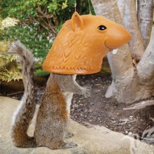 Cooler Eichhörnchen-Avatar