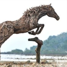 Незвичайні картинки про коней