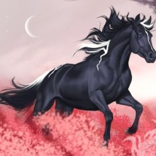 Schwarzes Pferd auf Avatar