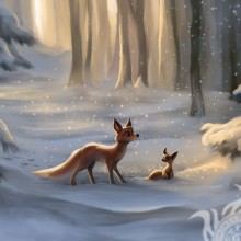 Foto de raposa e raposa para avatar