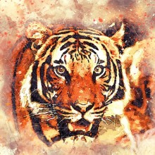 Hermoso tigre en avatar