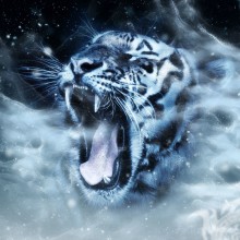 Avatar de tigre blanco