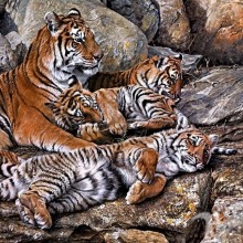 Imagen de tigresa y cachorros para avatar