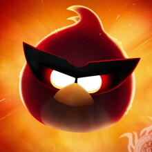 Angry Birds descarga la foto de tu avatar gratis