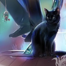 Schwarzes Katzenbild für Avatar