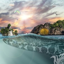 Photoshop scherzt Krokodil auf Avatar