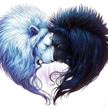 Lindos leões de arte no avatar