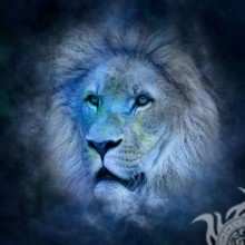 Fotos von Löwen für Avatar