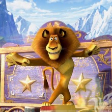 Лев з мультфільму Мадагаскар на аву