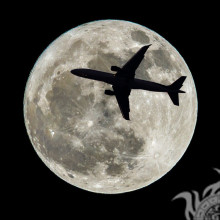 Schattenbild des Flugzeuges auf einem Hintergrund der Nacht auf einem Profil