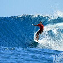 Avatar con un surfista sobre las olas.