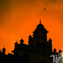 Orange Sonnenuntergang des Tempelschattenbildvogels im Sozialen Netz