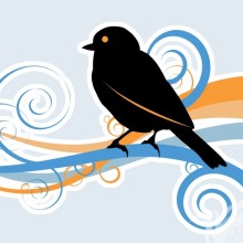 Imagem da silhueta do pássaro para avatar