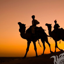 Beduinen auf einem Kamelbild