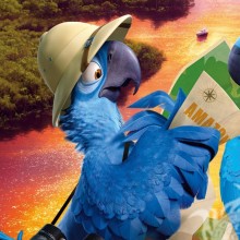 Papagei Rio auf Avatar