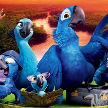 Família Parrot Rio no avatar