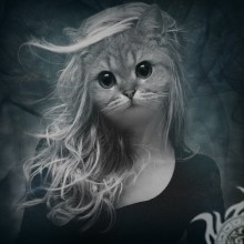 Chica gato en descarga de avatar