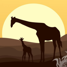 Gezeichnete Giraffen auf dem Hintergrund des Sonnenavatars