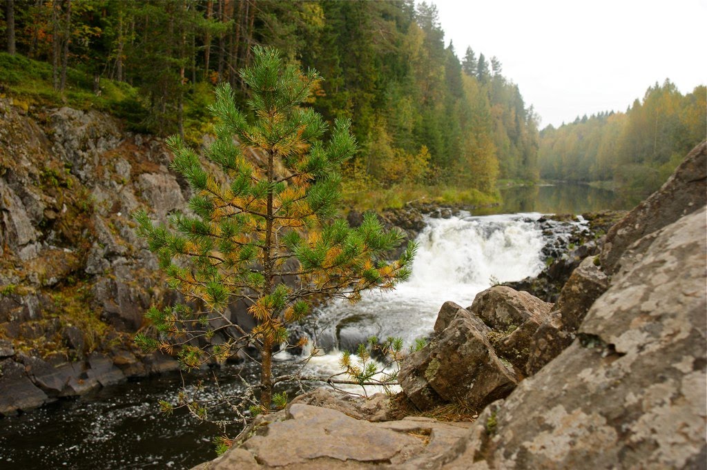 Водопад Кивач. Европейская Россия.