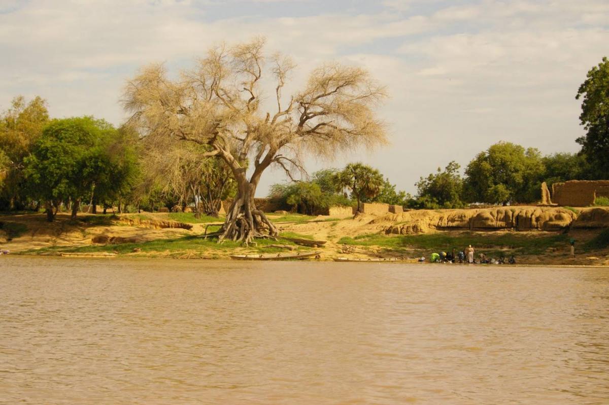 Озеро Чад. Чад-Камерун-Нигерия.