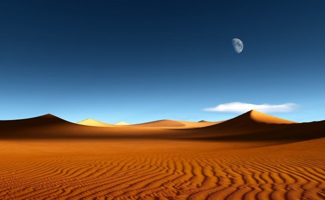 Пустыня Сахара. Северная Африка.