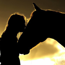 Девушка целует голову лошади фото