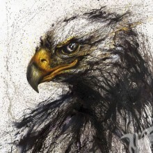 Photo of an eagle for icon download
