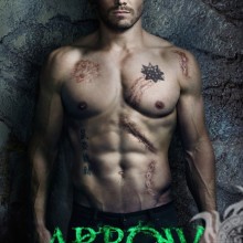 A série Arrow picture no avatar