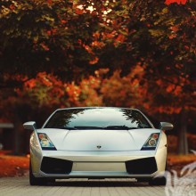 Foto eines Lamborghini-Sportwagens auf Ihrem Profilbild