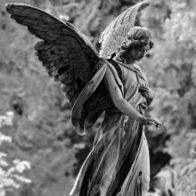 Photo de statue d'ange pour avatar