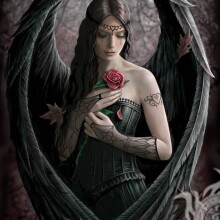 Девушка ангел с черными крыльями на аву