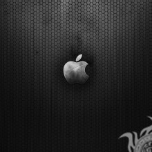 Téléchargement du logo Apple sur l'avatar sur la page