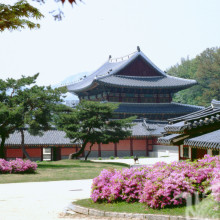 Photo d'avatar de la maison japonaise