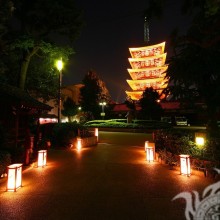 Japanisches Hauspagodennachtfoto auf Ihrem Profilbild