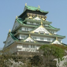 Photo de maison japonaise pagode sur la photo de profil
