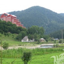 Paisaje de montaña verde con avatar de casas