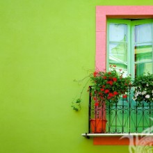 Fenster auf dem grünen Wandavatar