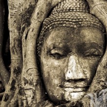 Escultura del dios indio en la foto de perfil