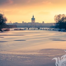 Photo of the palace winter landscape in profile