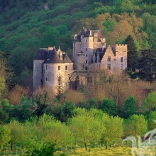 Castelo medieval abandonado no avatar da floresta