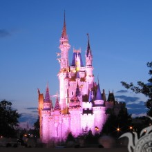 Castle in Disneyland on your profile picture