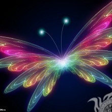 Радужная бабочка картинка скачать