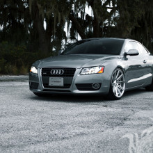 Audi download a photo for a girl's profile picture