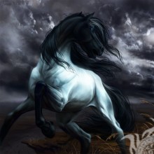 Download a beautiful picture with a horse