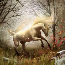 Картинки с красивыми лошадьми