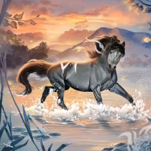 Кони и лошади картинки на аватар