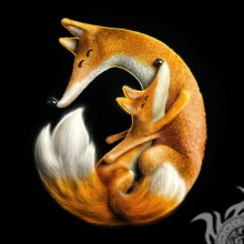 Cool icon fox and fox
