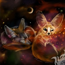 Foxes for icon